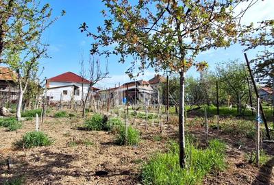 Casă individuală cu 5 camere cu Canalizare în Sud - 41