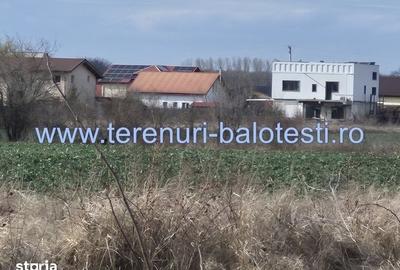 Teren de 540 mp, în Stănișești - 3