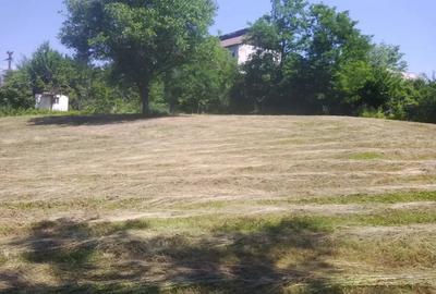 Teren de 4000 mp, în Copăceni - 9