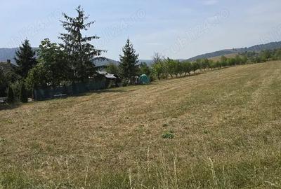 Teren de 4270 mp, în Agapia - 2