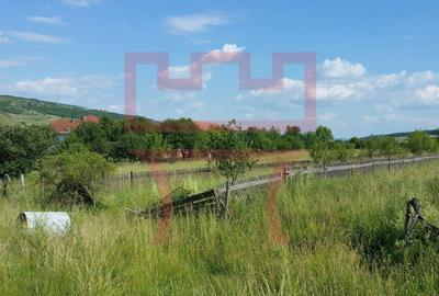 Teren agricol extravilan de 525 mp, în Iris - 2
