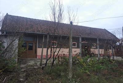 Teren de 5610 mp, în Șimand - 5
