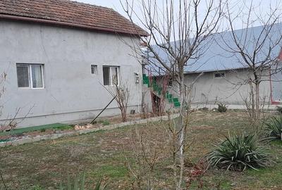 Casă cu Teren 11000 Mp în Pluta - 6