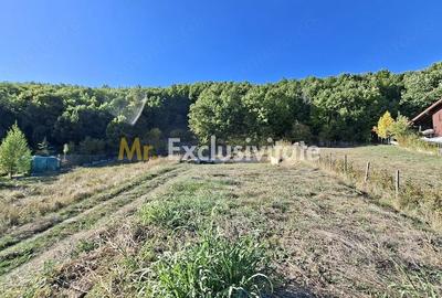 Teren de 2090 mp, în Golești (Ștefănești)