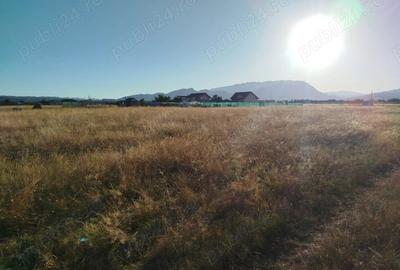 Teren de 1000 mp, în Glăjărie - 1