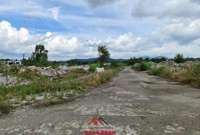 Teren Construcții intravilan de 200000 mp, în Central - 2