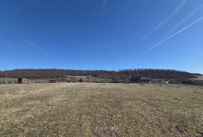 Teren de 2700 mp, în Mitocu Dragomirnei - 3