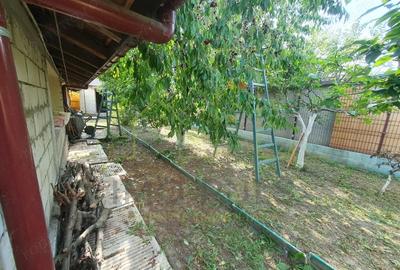 Casă cu 2 camere cu Teren 421 Mp în Plopi - 12