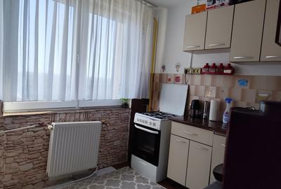 Apartament cu 2 camere semidecomandat în Botoș - 4
