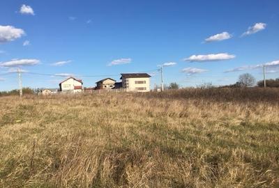 Teren Construcții intravilan de 3000 mp, în Periș - 9