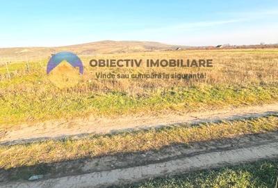 Teren agricol intravilan de 10000 mp, în Calea Romanului - 3