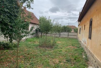 Casă cu 6 camere în Belinț - 3
