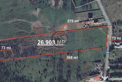 Teren de 26908 mp, în Iedera - 4