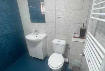Apartament cu 2 camere decomandat în Gura Văii