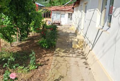 Casă cu 4 camere în Topliceni - 7