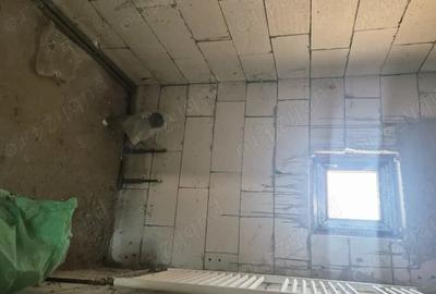 Casă cu 3 camere în Fibiș - 10