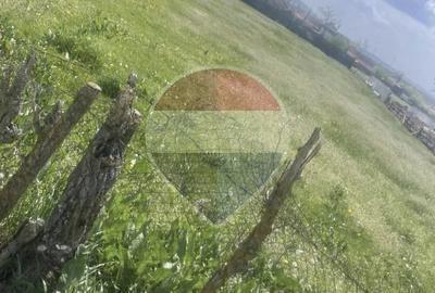 Teren de 1424 mp, în Hădăreni