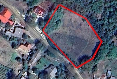 Teren de 2853 mp, în Urechești - 7