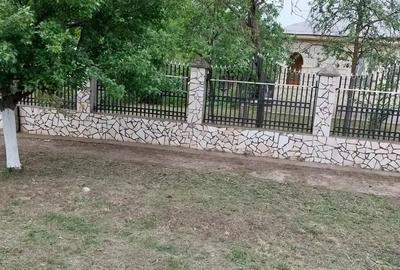 Casă cu 5 camere cu Teren 4000 Mp în Smârdan - 10