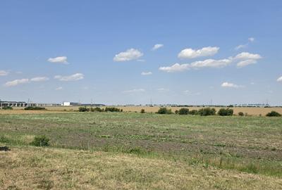 Teren de 2600 mp, în Ștefăneștii de Jos - 4