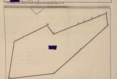 Teren de 6577 mp, în Racu - 3
