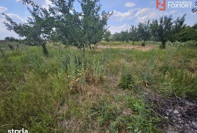 Casă cu 5 camere cu Teren 1627 Mp în Vinga - 8