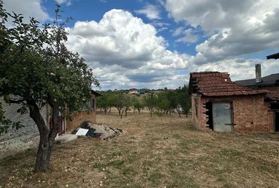 Teren de 2572 mp, în Viile Satu Mare