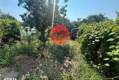 Casă cu 3 camere cu Teren 273 Mp în Faleză