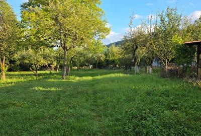 Teren de 2500 mp, în Central - 3