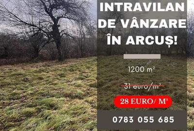 Teren agricol intravilan de 1200 mp, în Arcuș - 4