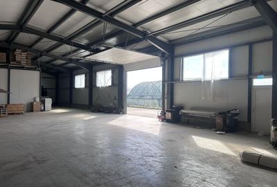 Spațiu industrial, de 7,000 mp, în Micălaca - 14