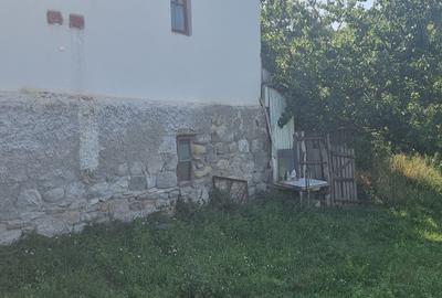 Casă individuală cu 2 camere cu Teren 3800 Mp în Berislăvești - 5