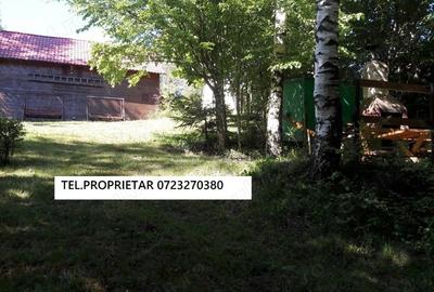 Casă cu Teren 1427 Mp în Văliug