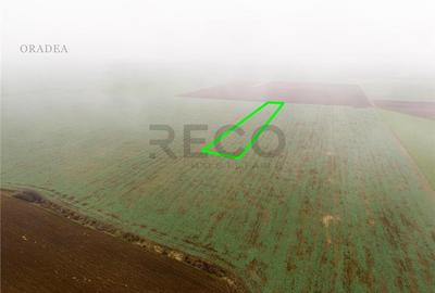 Teren intravilan de 5800 mp, în Livada de Bihor - 5