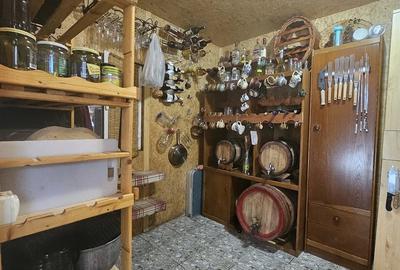 Casă cu Teren 1697 Mp în Ștefănești
