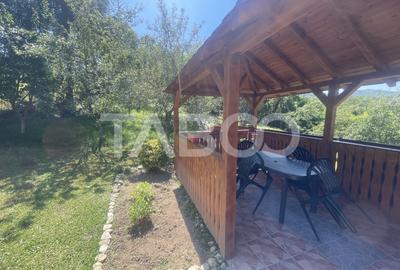 Casă individuală cu 6 camere cu Garaj în Vale - 19