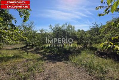 Teren Construcții intravilan de 5051 mp, în Borhanci