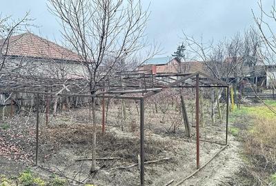 Casă cu 7 camere cu Teren 1626 Mp în Potoceni - 5