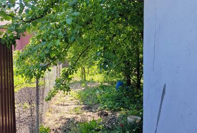 Casă individuală cu 2 camere cu Canalizare în Sâncraiu de Mureș - 7
