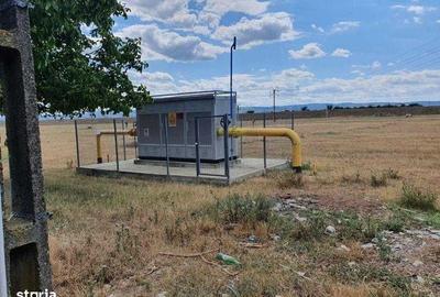 Teren de 2000 mp, în Letea Veche - 1