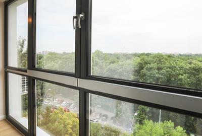 Apartament cu 2 camere semidecomandat în Tineretului - 4