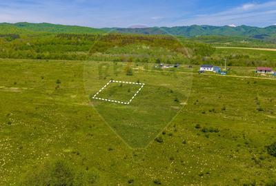 Teren Construcții intravilan de 500 mp, în Dumbrăvița - 5