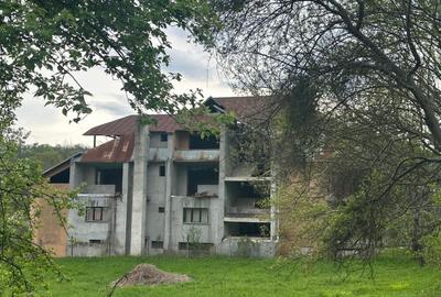 Casă individuală cu 16 camere cu Teren 5000 Mp în Malu Vârtop - 4