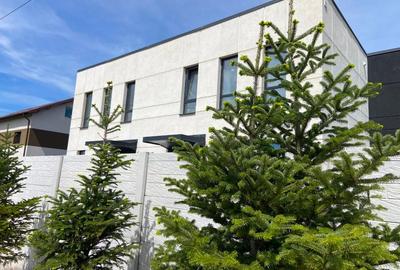 Casă individuală cu 4 camere cu Teren 320 Mp în Cornetu - 15