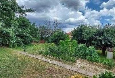 Casă cu 4 camere în Viișoara
