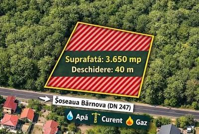 Teren Construcții extravilan de 3650 mp, în Bucium