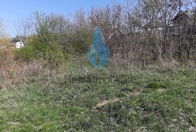 Teren intravilan de 1309 mp, în Bârnova - 2