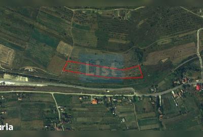 Teren de 11400 mp, în Central