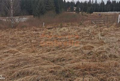 Teren Construcții extravilan de 1238 mp, în Beliș - 8