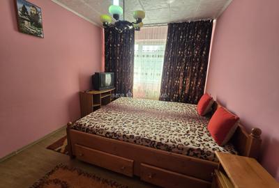 Apartament cu 2 camere decomandat, mobilat în Vest - 8